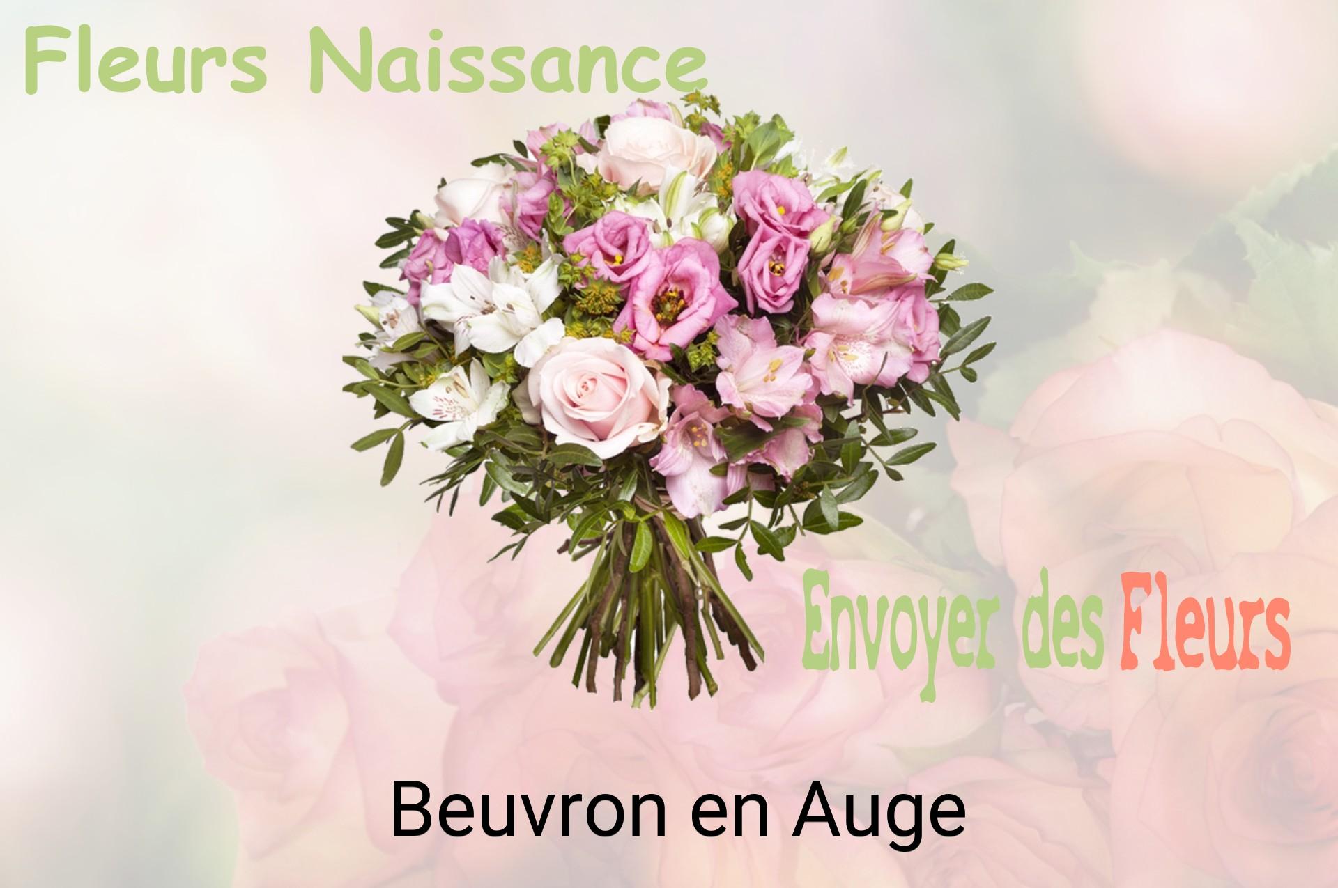Bouquet de fleurs de naissance livré à Beuvron-en-Auge